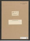 Achnanthes brevipes Ag. (de-Toni-Nr.: Genus 43, Species 1923) Zeichnungen Sammlung Grunow Nr. 3819 (NHMW-BOT-W0371501)